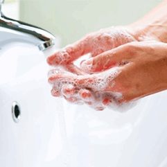 Reinigung & Hygiene